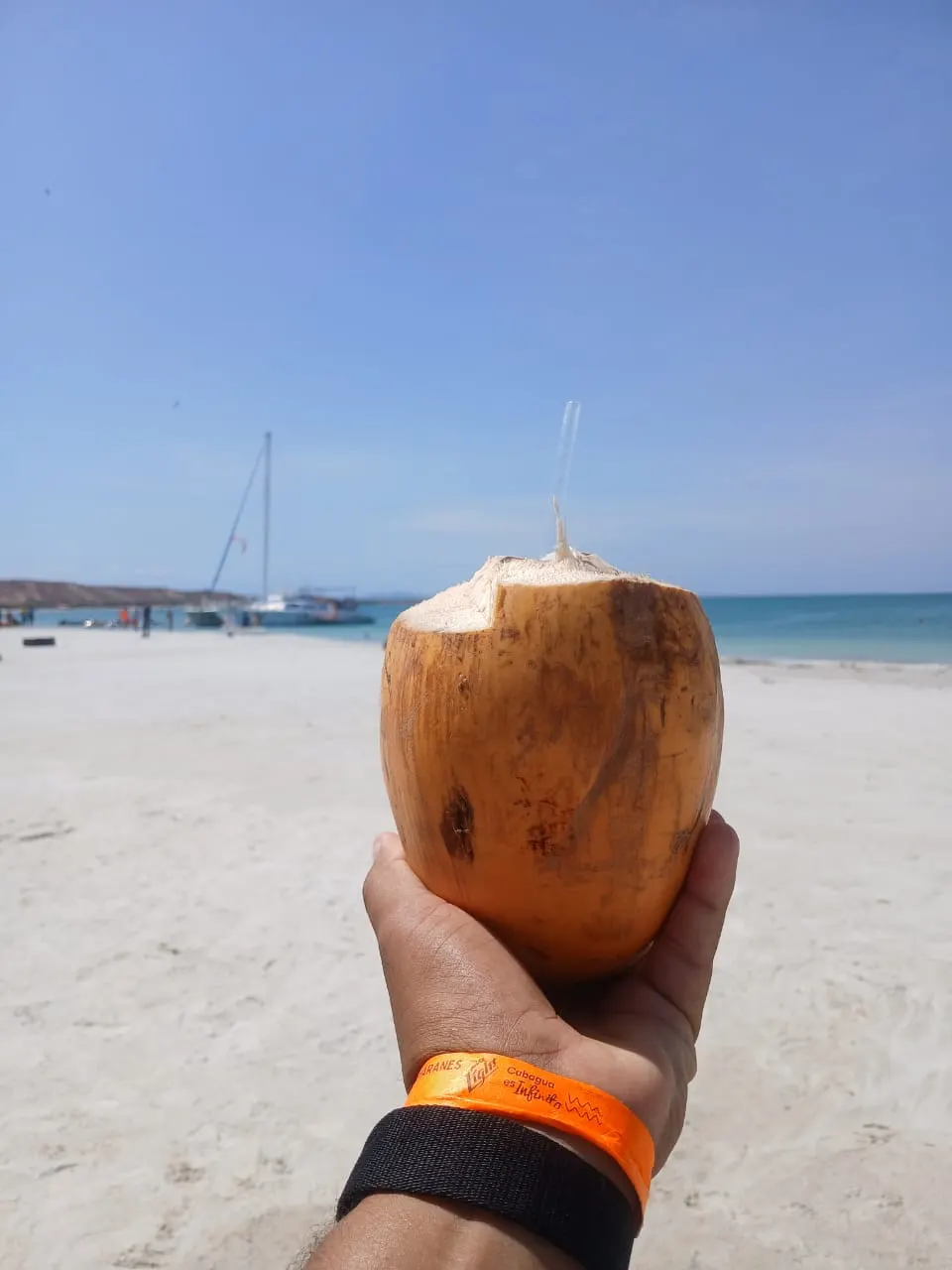 Mano con coco en playa de arena blanca, con mar azul y veleros al fondo en Isla de Coche.